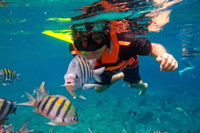 Magnificent Exploration to El Cielo Palancar and Columbia Reefs - The Experience and Group Dynamic