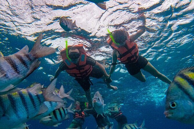 Magnificent Exploration to El Cielo Palancar and Columbia Reefs - The Cost and Overall Value