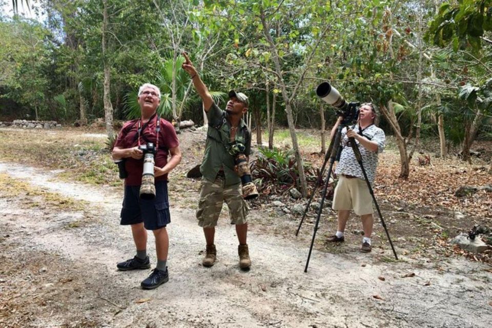Mahahual: Costa Maya Birdwatching Experience - Highlights of the Experience