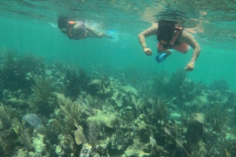 Mahahual: Costa Maya Snorkeling Adventure by Boat - Group Size and Highlights