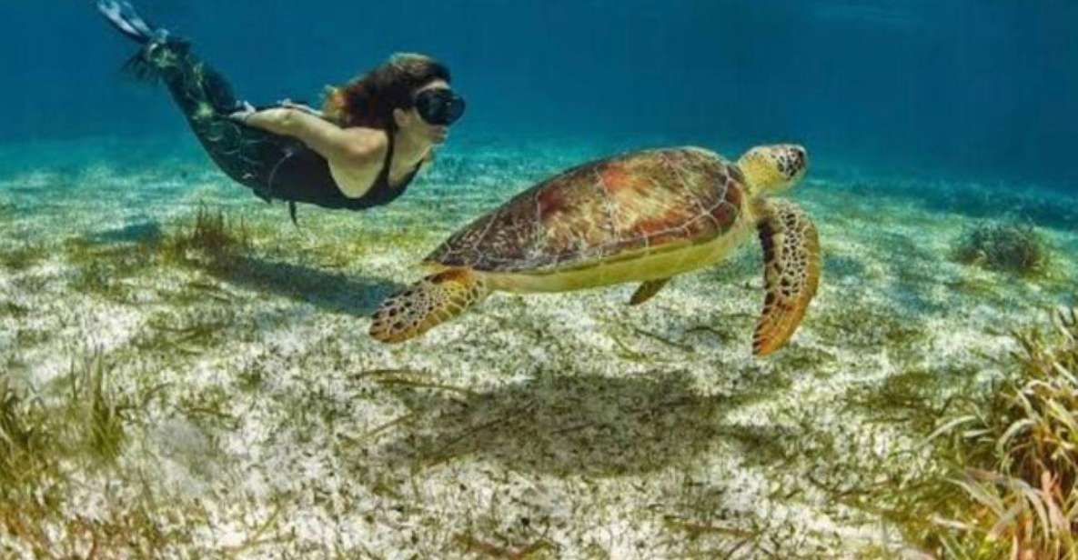 Mahahual: Costa Maya Snorkeling Adventure by Boat - Frequently Asked Questions
