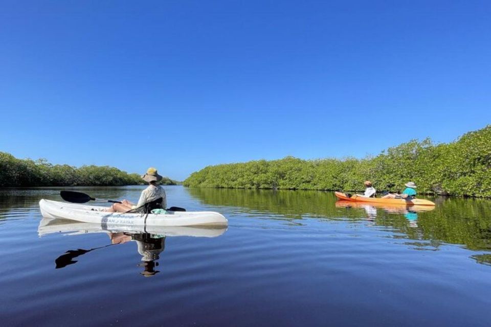 Mahahual: Kayaking in the Mangroves Experience - Key Points