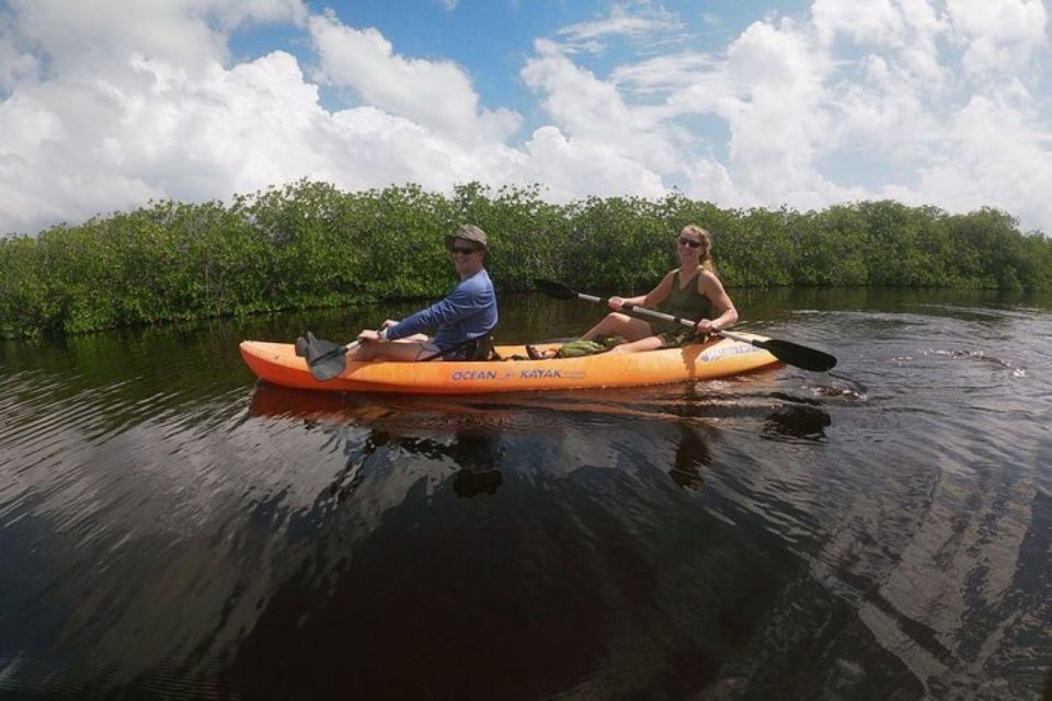 Mahahual: Kayaking in the Mangroves Experience - Connecting With Local Ecosystems