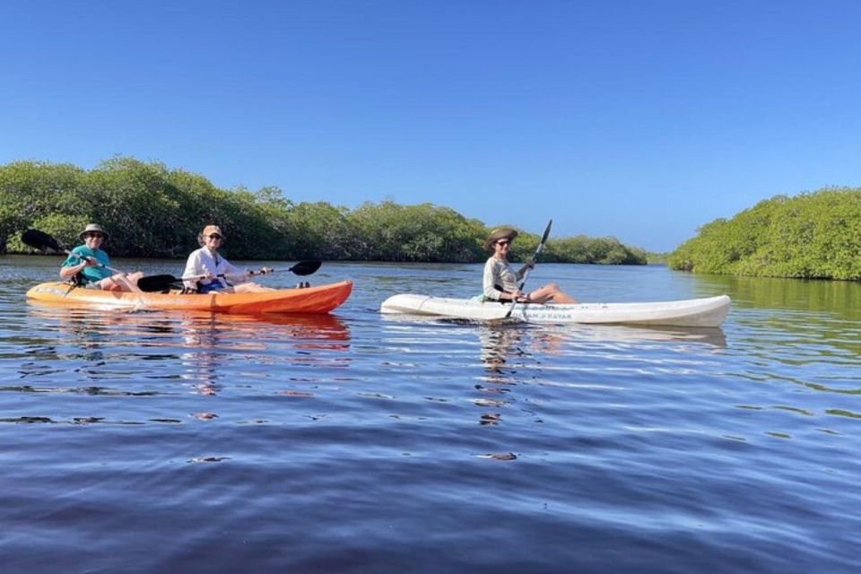 Mahahual: Kayaking in the Mangroves Experience - Itinerary and Inclusions