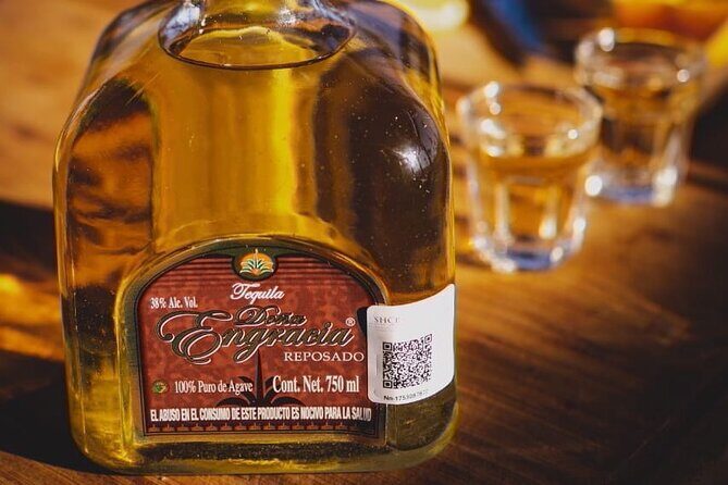 Mahahual Private Tequila Tasting - An In-Depth Look at the Mahahual Private Tequila Tasting Experience