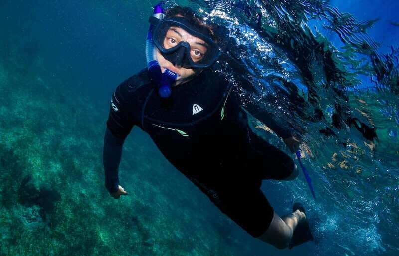 Mahahual: Snorkel Tour in Reef Lagoon - The Sum Up