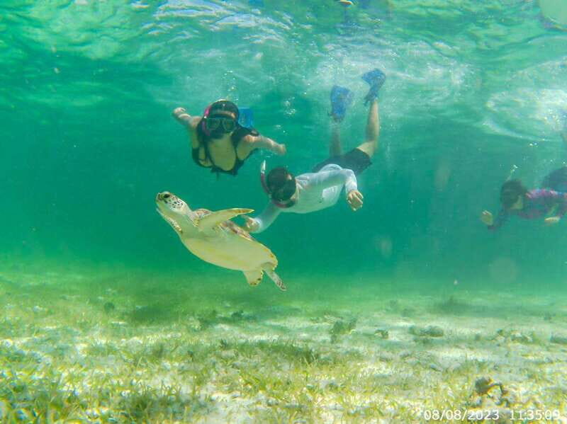 Mahahual: Snorkeling Boat Tour - What Is This Snorkeling Tour Really Like?