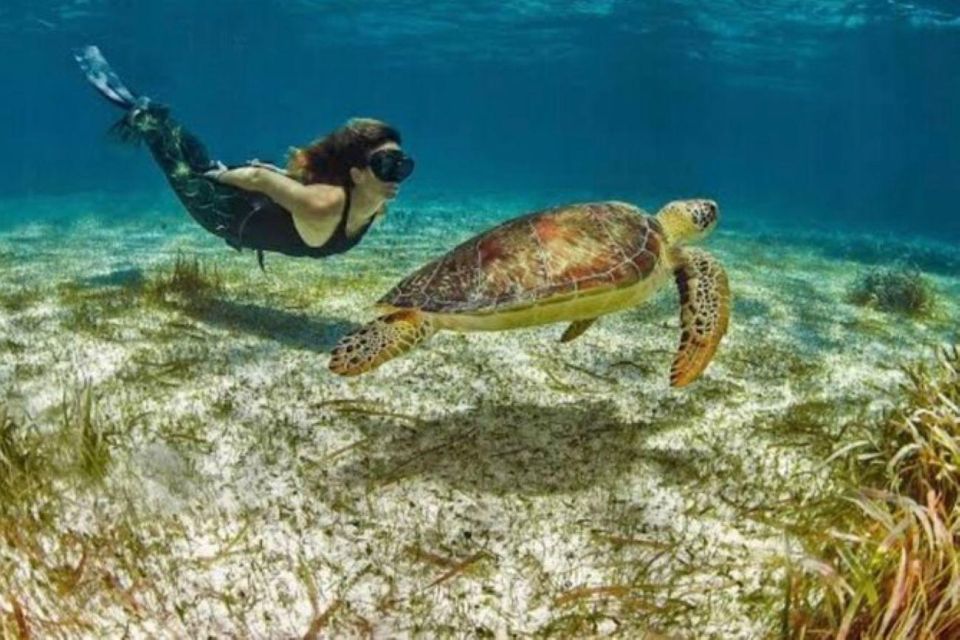 Mahahual: Snorkeling on the Great Mayan Reef - Snorkeling Inclusions
