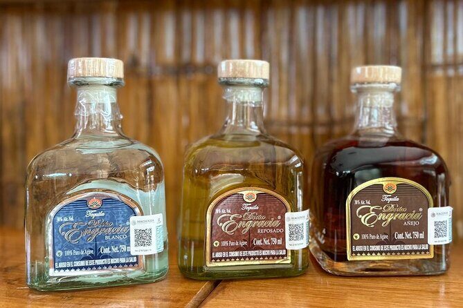 Mahahual Tequila Tasting Experience and Beach Club - Analyzing the Value