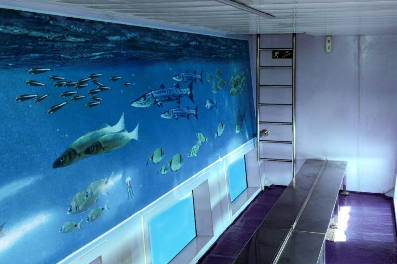 Mahon: Harbor Boat Tour With Underwater Viewing & Commentary - Cancellation and Accessibility