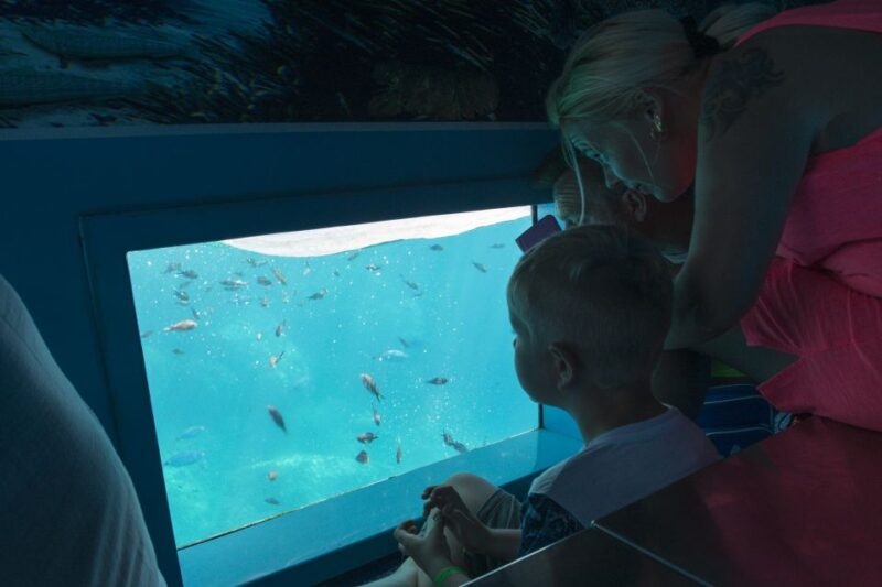 Mahon: Harbor Boat Tour With Underwater Viewing & Commentary - What to Bring and Restrictions