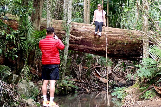 Maiala Rainforest Tour - Transport, Timing, and Value