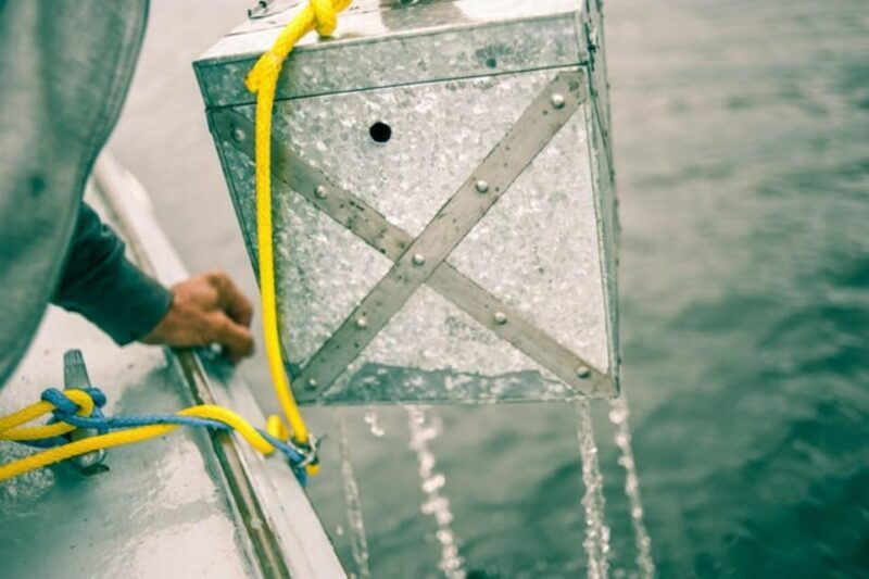 Maine: Belfast Family Treasure Hunt - Key Points