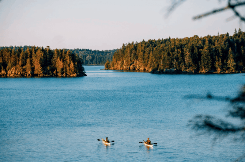 Maine: Half-Day Single Kayak Rental - Kayak Options and Locations