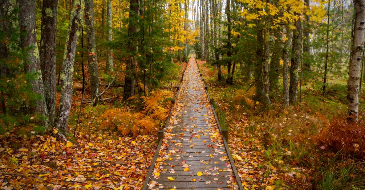 Maine: Self-Guided Walking & Driving Audio Tour Bundle - Highlights of the Portland Driving Tour