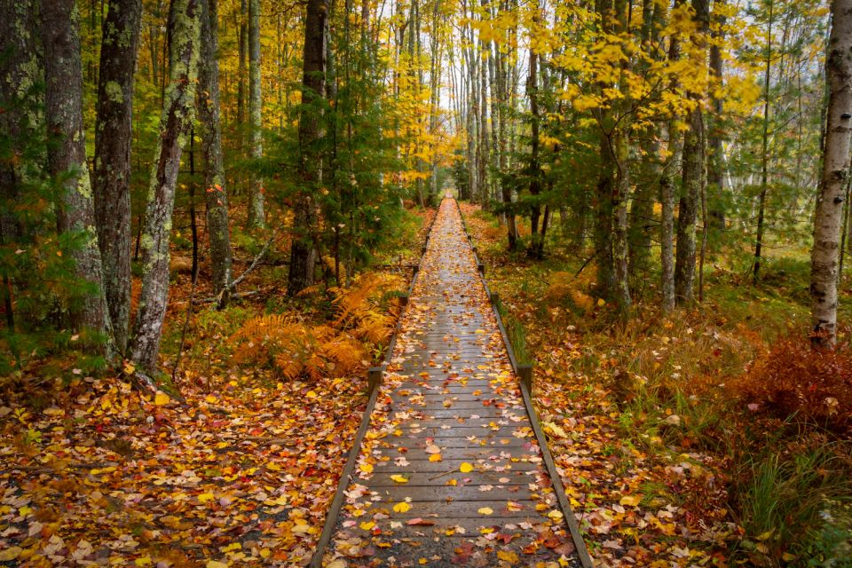 Maine: Self-Guided Walking & Driving Audio Tour Bundle - Pricing and Bundling Options