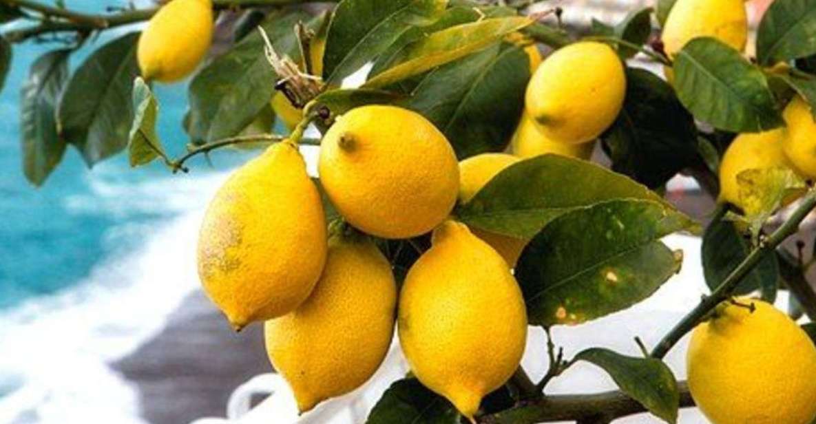 Maiori: Amalfi Coast Path of Lemons Day Trip With Tastings - Key Points