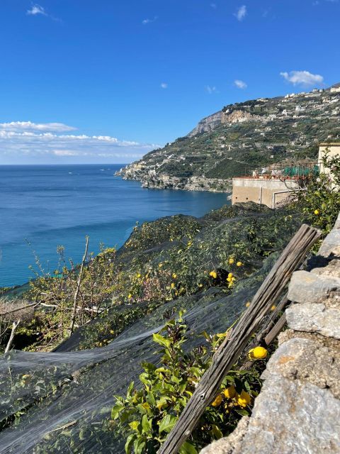 Maiori: Amalfi Coast Path of Lemons Day Trip With Tastings - Tour Overview and Pricing