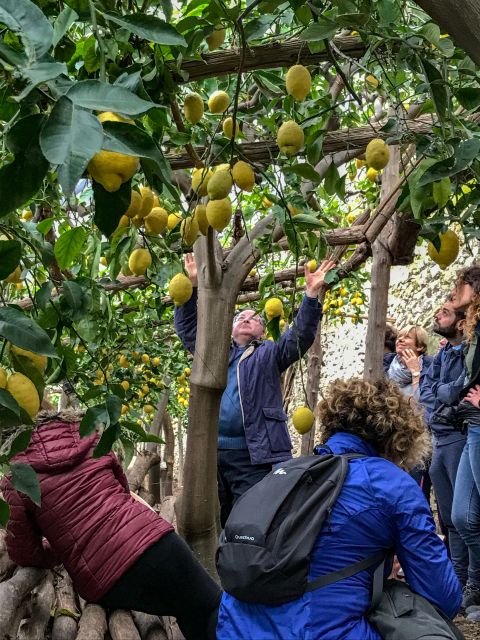 Maiori: Amalfi Coast Path of the Lemon private walking tour - Reviews and Authentic Perspectives