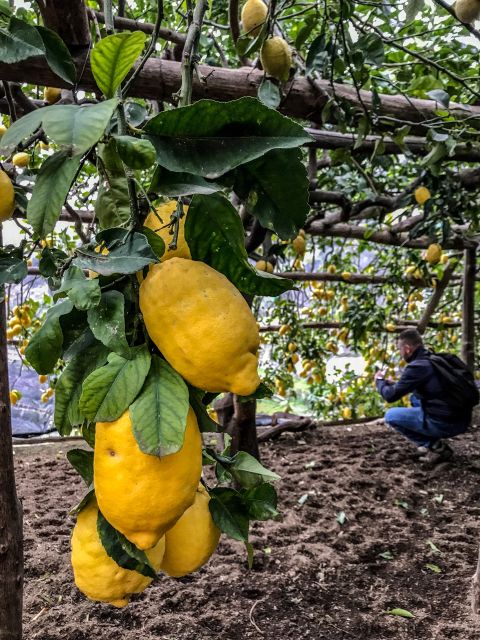 Maiori: Amalfi Coast Path of the Lemon private walking tour - The Sum Up: Who Should Consider This Tour?
