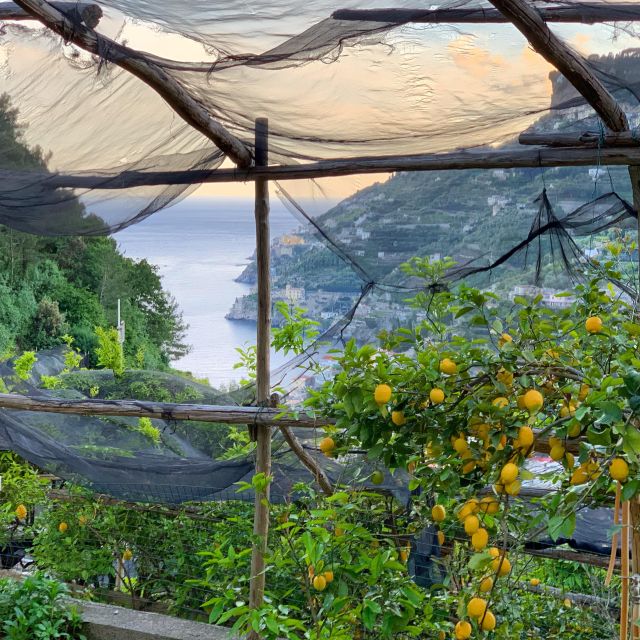 Maiori: Amalfi Coast Path of the Lemon private walking tour - FAQ
