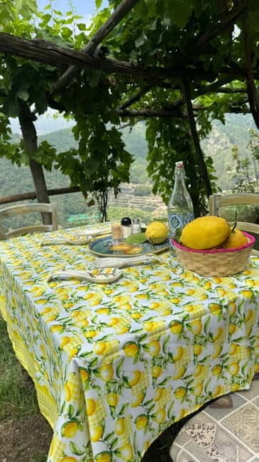 Maiori: Hiking Tour to A Lemon Farm with Lemon Tastings - Who Will Love This Experience?