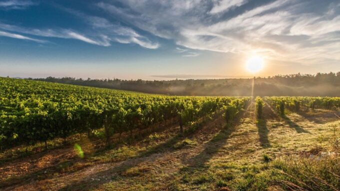 Maipo Valley: Private Full-Day Wine Tour - Booking Process