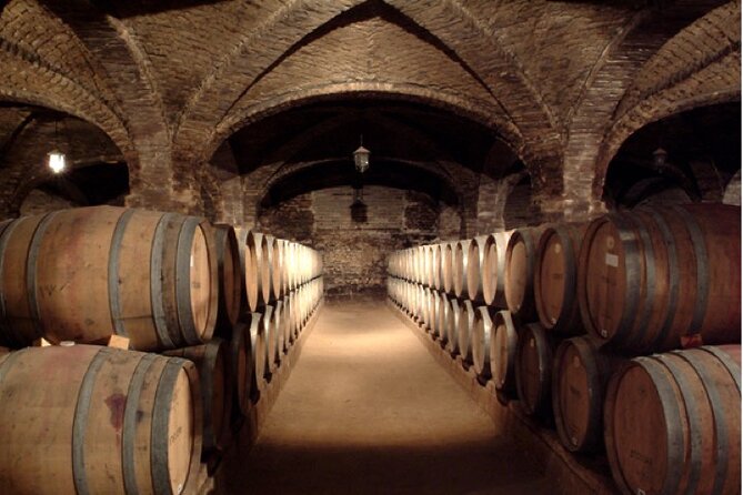 Maipo Valley Top Wineries Private Tours and Tastings From Santiago - Tour Overview