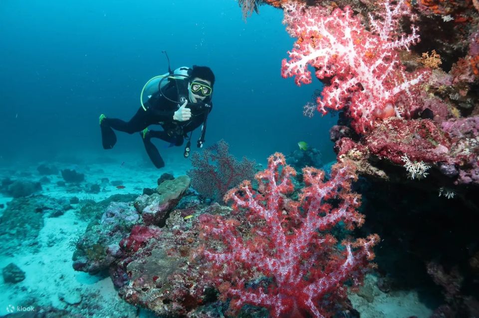 Maithon Private Island: Small Group Scuba Dive or Snorkeling - Frequently Asked Questions