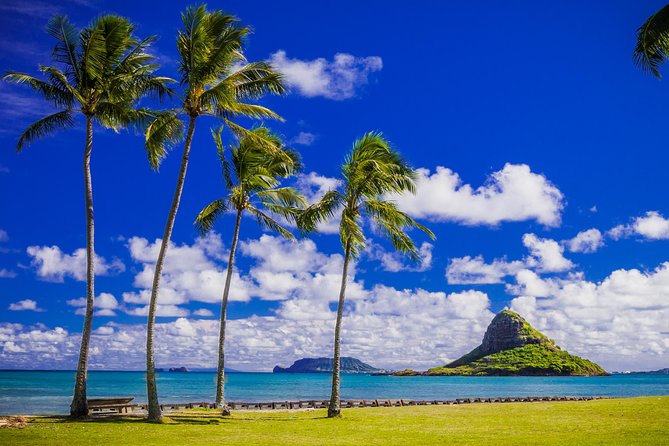Majestic Circle Island Eco Tour From Waikiki - Frequently Asked Questions