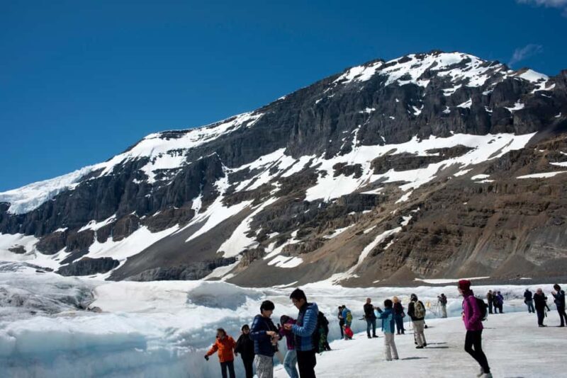 Majestic Icefield Private Day Tour from Calgary - Key Points