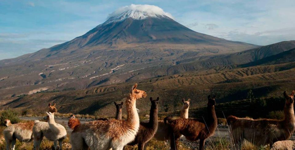 Majestic Misti: A Thrilling 2-Day Arequipa Escape - Day 1 Highlights