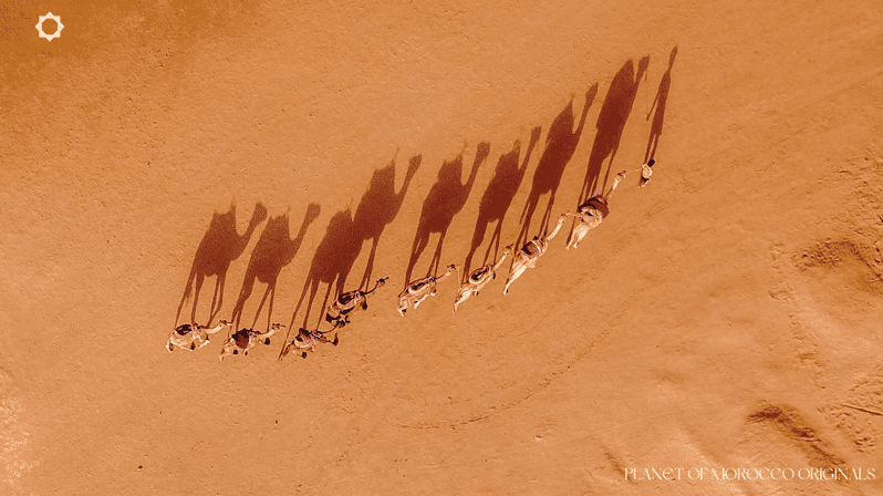 Majestic Morocco: Private 7-Day Journey From Marrakech - Good To Know