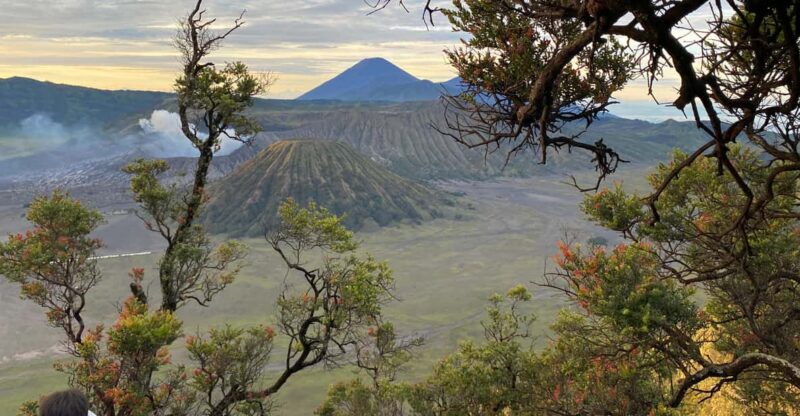 Majestic Mount Bromo & Ijen Volcanic Trip From Bali - Highlights and Experiences