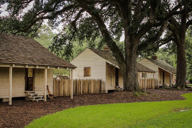 Majestic Oak Alley Plantation Tour - Participant Information and Accessibility