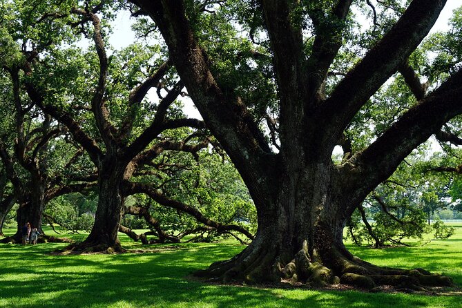 Majestic Oak Alley Plantation Tour - Pricing and Booking Details