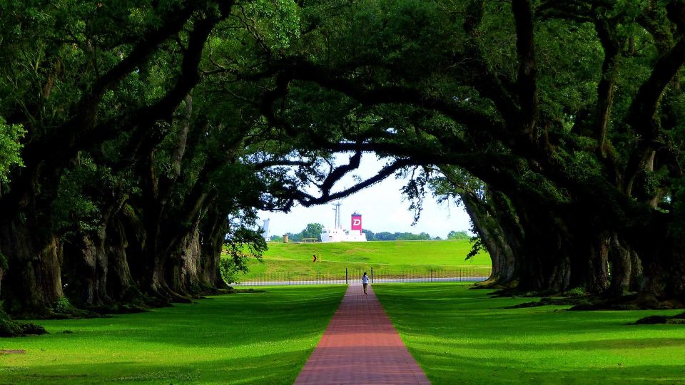 Majestic Oak Alley Plantation Tour - Description