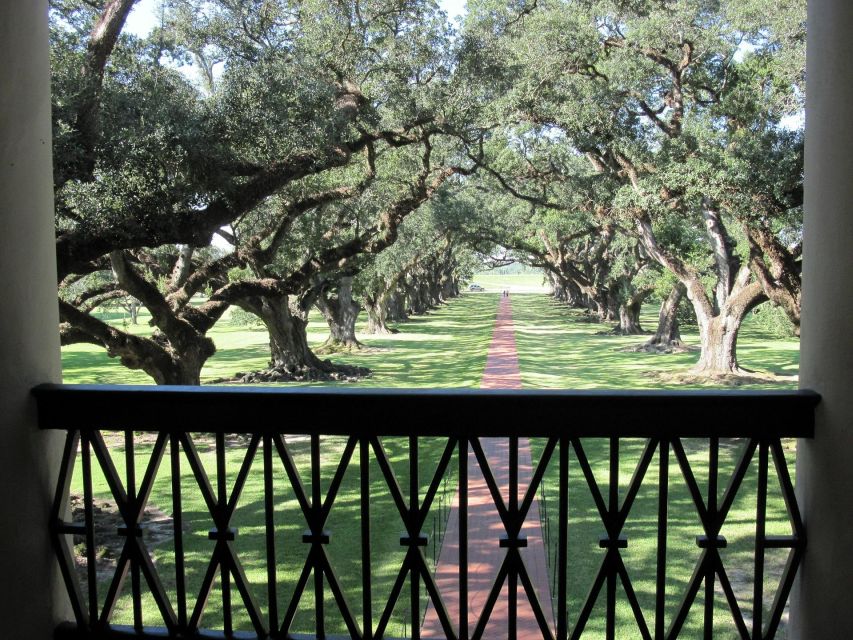 Majestic Oak Alley Plantation Tour - Testimonials