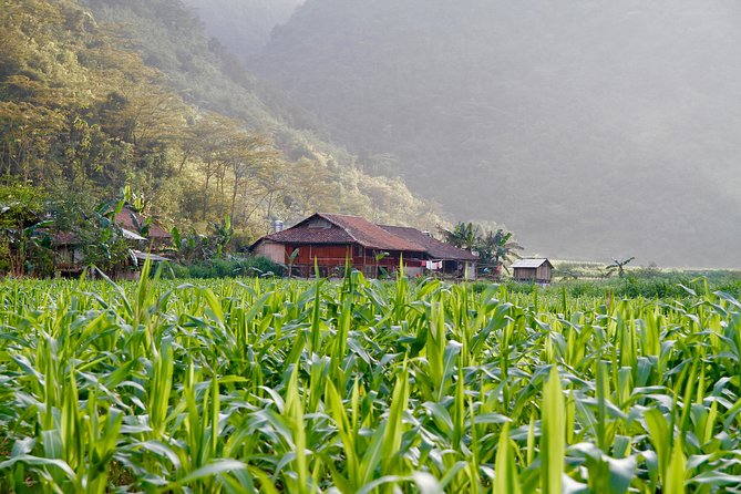 Majesty Of Untouched Northern Vietnam Tour 6 Days - Inclusions and Exclusions