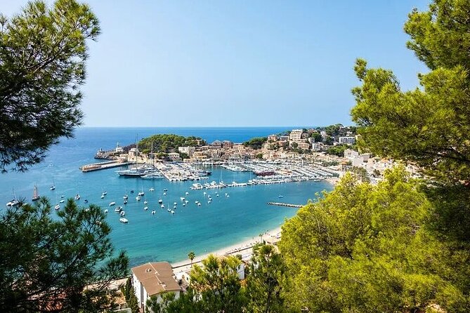 Majorca Island Full Day Tour - Included Activities