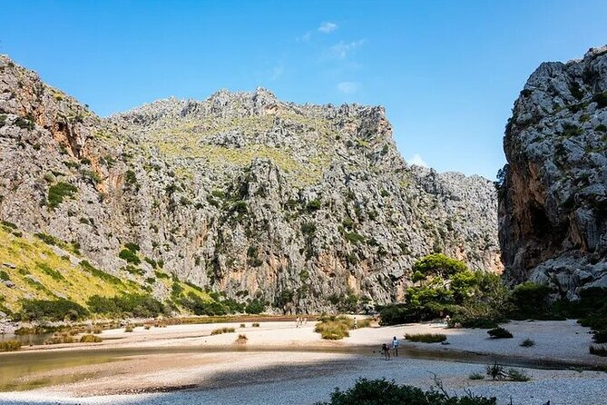 Majorca Island Full Day Tour - Accessibility Requirements