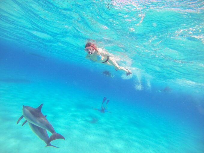 Makadi Bay: Dolphin Watching Boat Tour W/ Private Transfers - Booking and Cancellation Policy