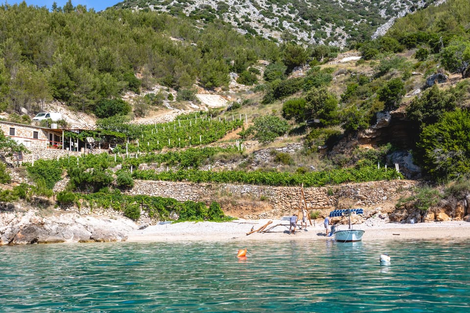 Makarska: 3-island Speedboat Cave & Blue Lagoon Tour - Who Would Love This Experience?