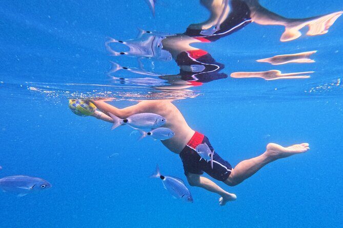 Makarska: 3-Island Speedboat Tour with Cave and Blue Lagoon - Starting Point and Logistics