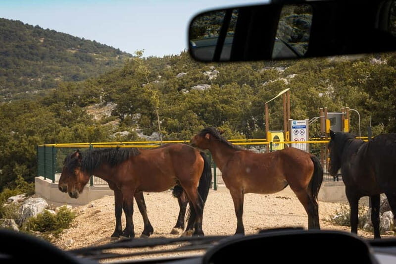 Makarska: Biokovo Skywalk 4X4 Tour: Ultimate Mountain Views - The Sum Up: Who Should Consider This Tour?