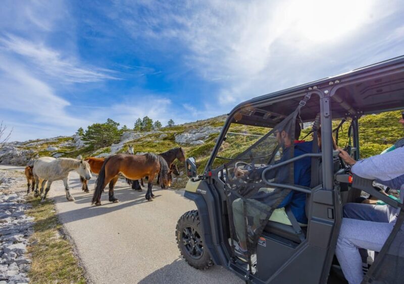 Makarska: Buggy Skywalk and Biokovo Tour - An In-Depth Look at the Tour Experience