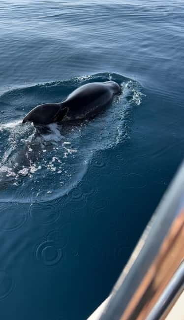 Makarska: Private halfday boat tour ,Hvar,small blue Cave - Starting Point: Makarskas Poseidon Rent a Boat