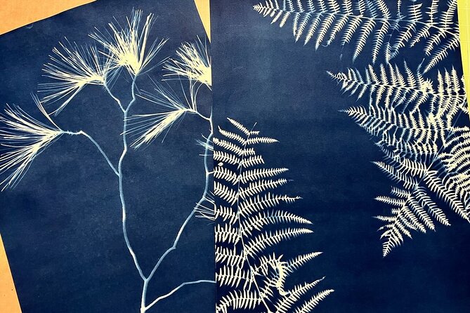 Make Sun Prints in the Desert - Meet Your Host: Rose Cefalu