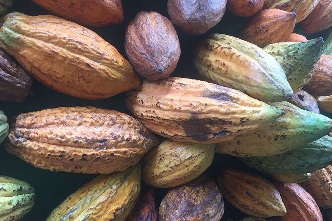 Make your own Bean to Bar Chocolate Factory Tour - Roasting and Processing