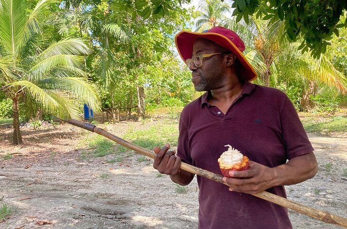 Make your own Bean to Bar Chocolate Factory Tour - Making Your Own Chocolate